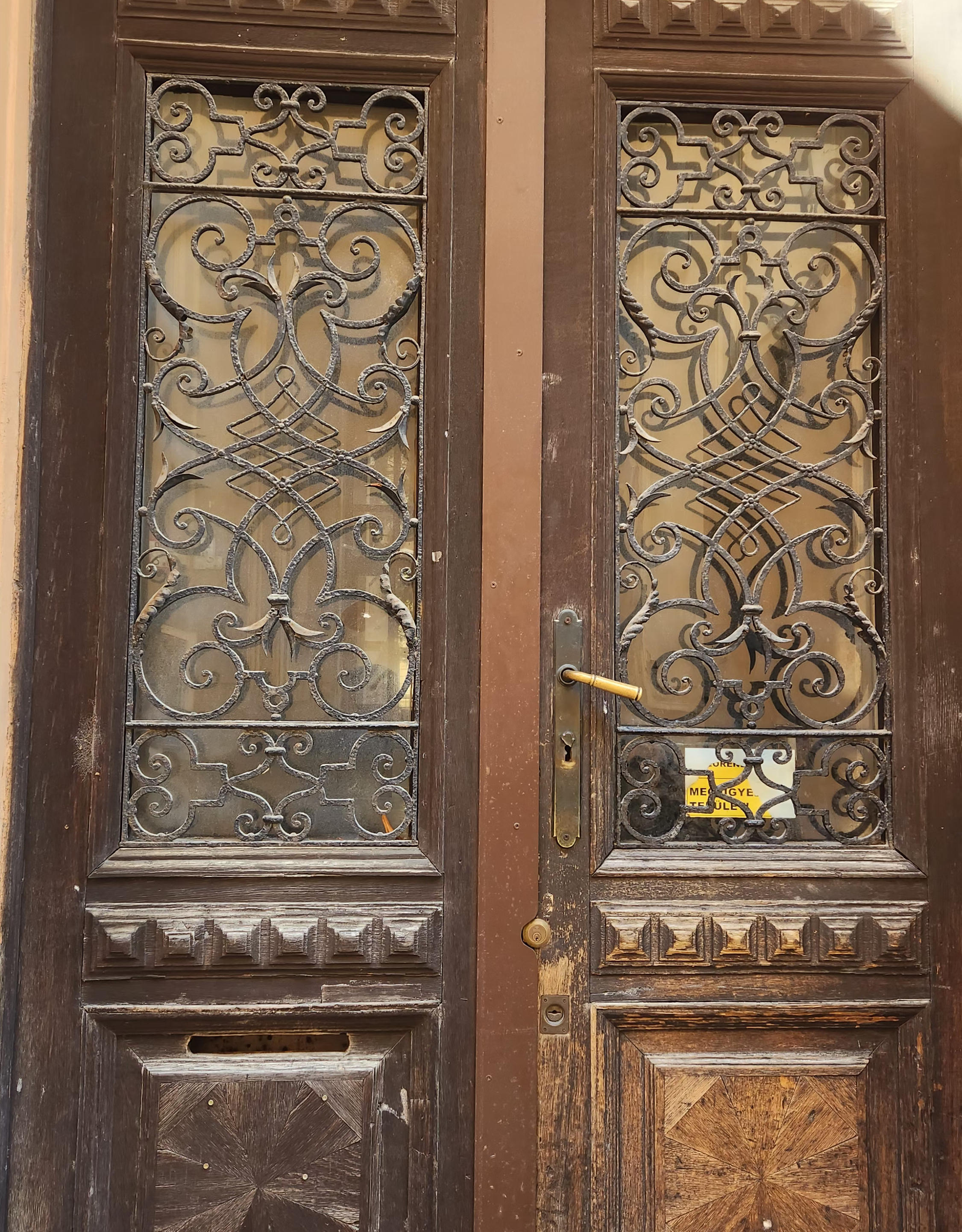 Iron and Wood Door